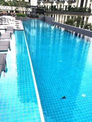 Spottiswoode 18 (D2), Apartment #569746131